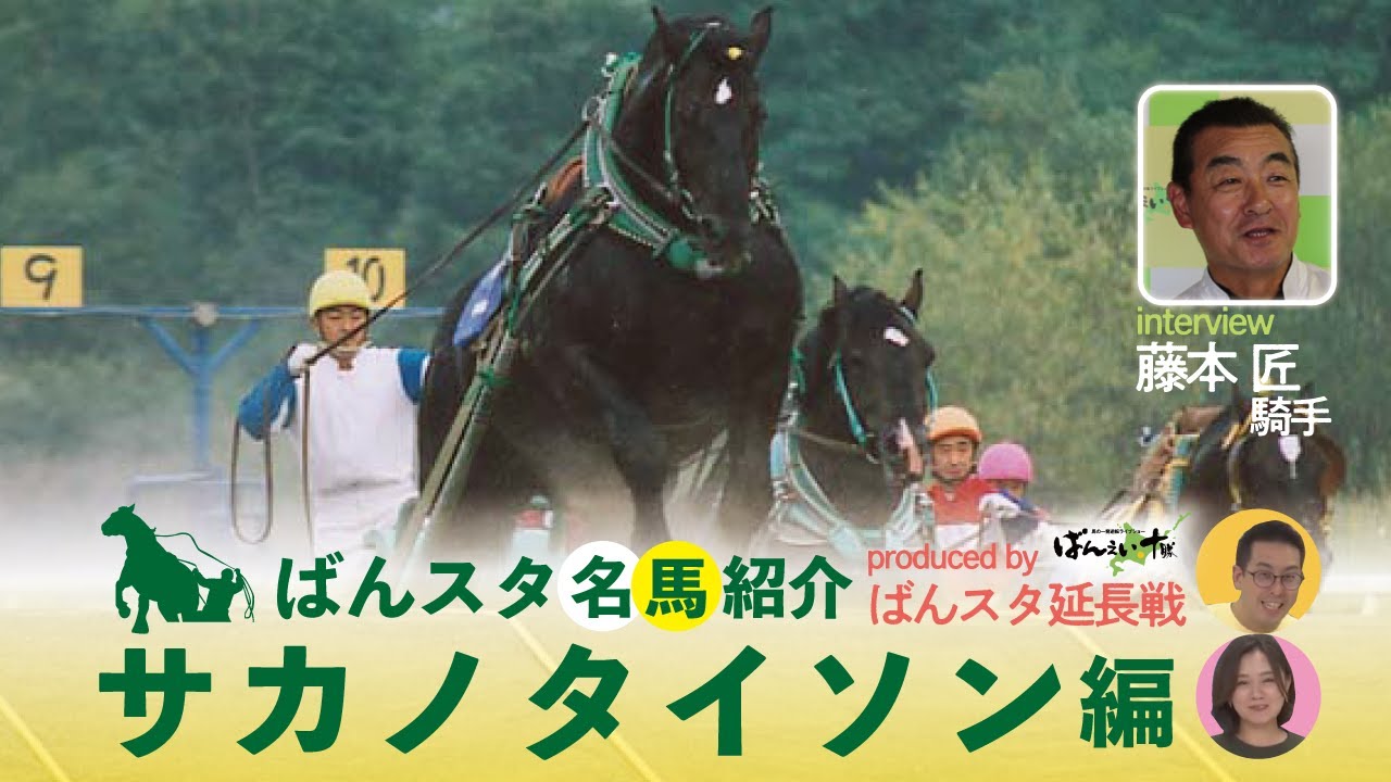 サカノタイソン　ばんえい競馬 名馬紹介