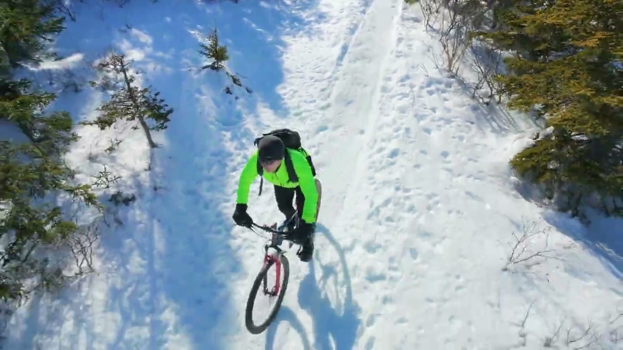 TPB Devinci Neo 2 February 28 2026