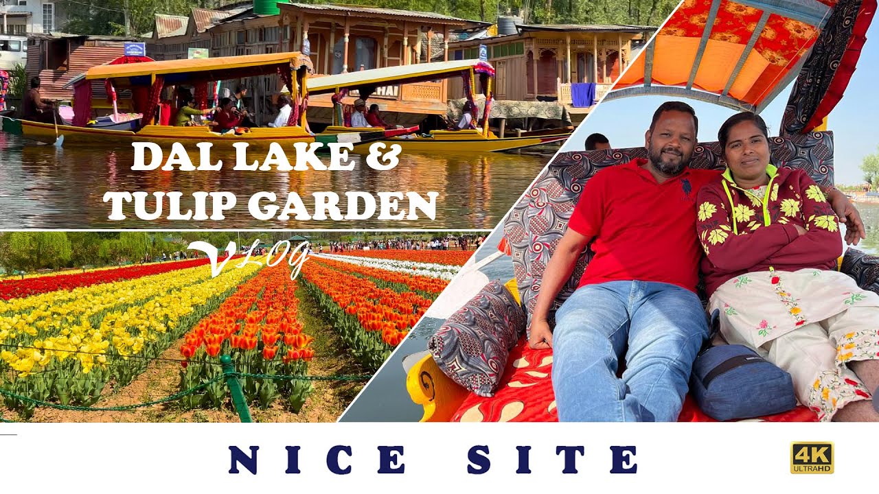 தால் ஏரியில் மிதக்கும் சந்தை படகு சவாரி  Dal lake Srinagar Kashmir Tourist Places In Tamil EP-15