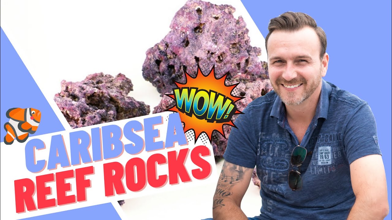 Meerwasser Caribsea Life Rock Riffsteine - Review