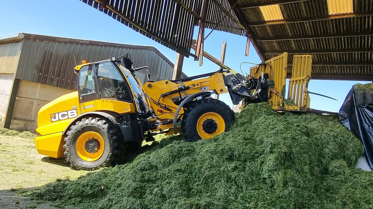 Wagon silage and a new JCB loader.