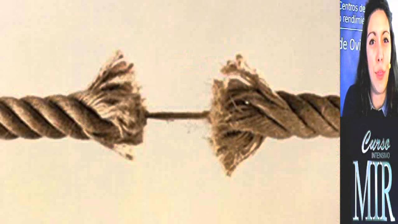 Simulacros. Curso MIR Asturias