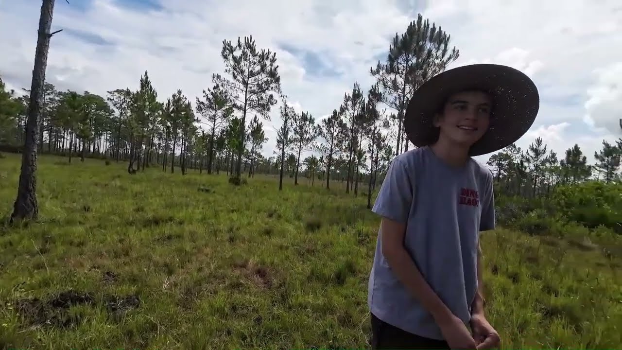 Tree Stand and Game Camera Recovery - Three Lakes WMA