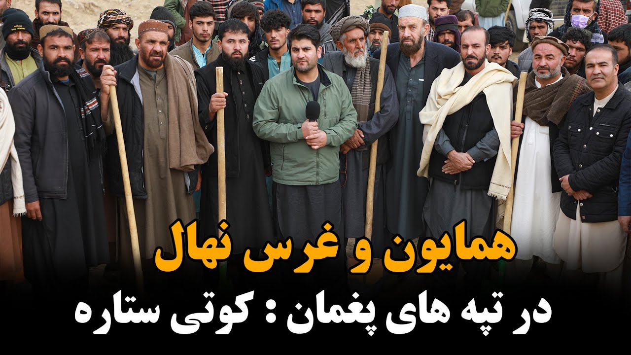 کار ایجاد جنگلات در کوهای پغمان آغاز شد.