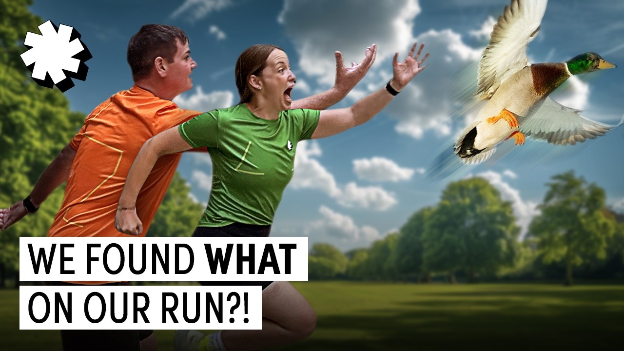 How Far Will We Run To Find A Dog, Duck & Cat?