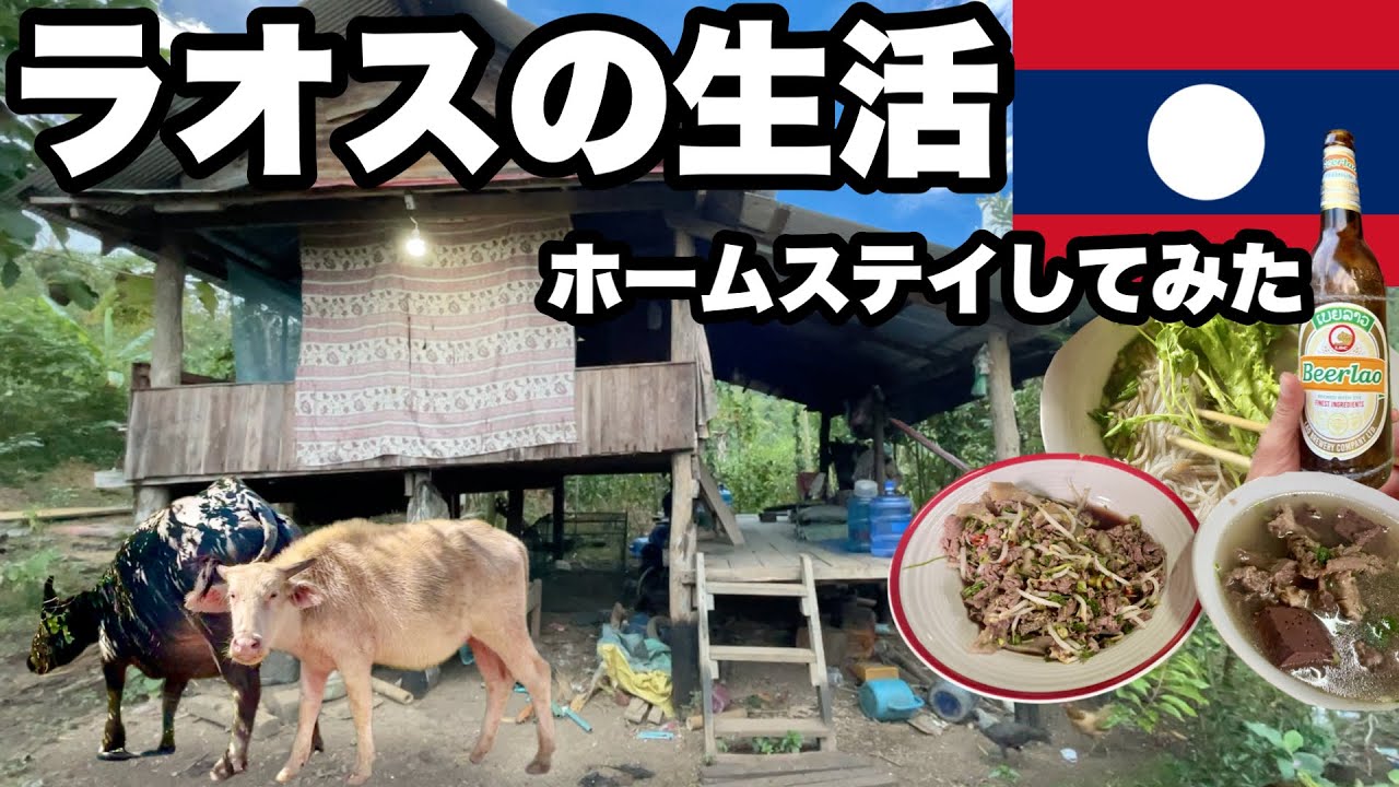 【2泊ホームステイ】ルアンパバーンの田舎に泊めてもらって1日3食付き/家畜の世話や海苔作りを見せてもらった/ラオスのもち米と家庭料理は美味しい