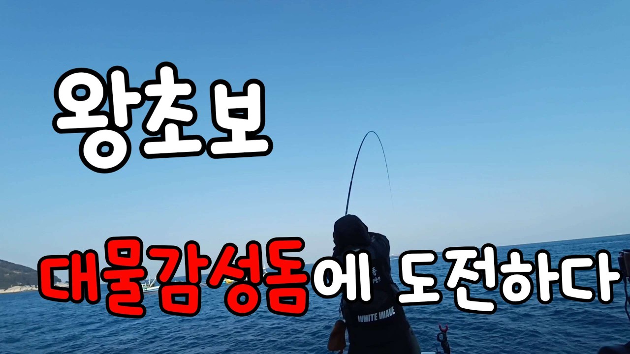 초심자도 감성돔을 잡을수 있을까