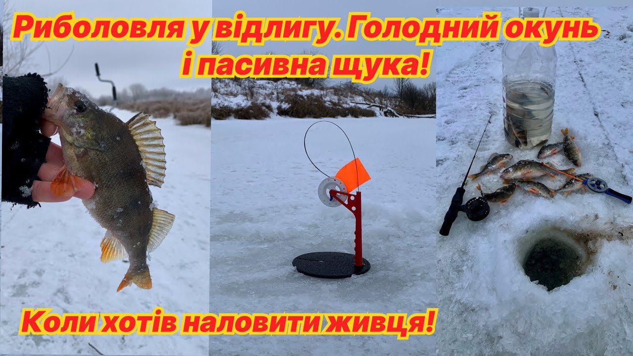 Риболовля у відлигу. Голодний окунь і пасивна щука. Коли хотів наловити живця!