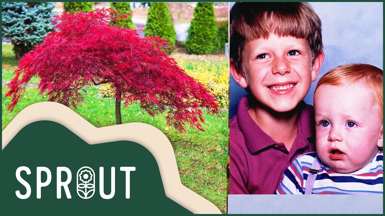 The Tale of North Carolina's Japanese Maple Magicians | Sprout Full Episode