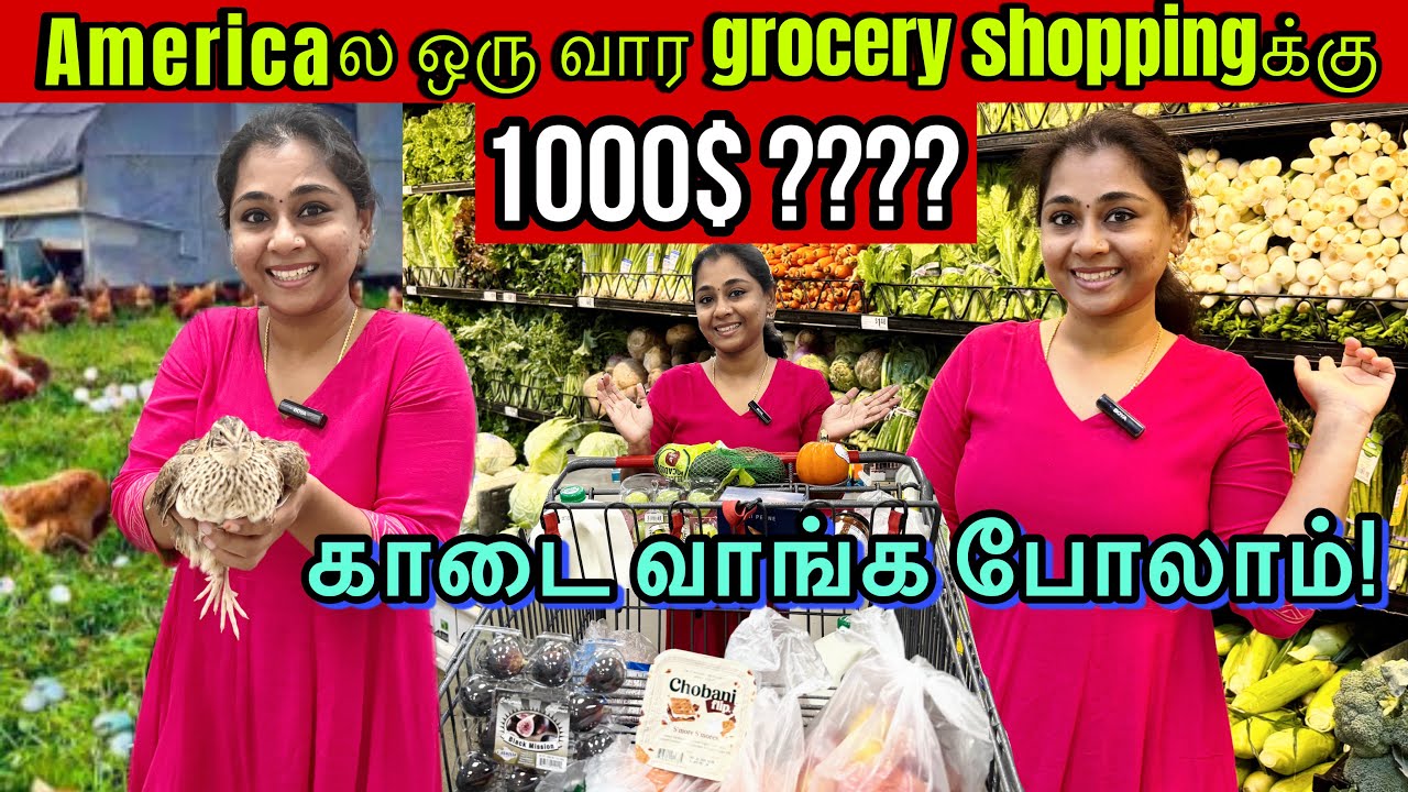 💥Americaல காடை வாங்க போலாம்|Grocery shoppingக்கு இவ்வளவு செலவா⁉️💢Tamil Vlog USA #tamil