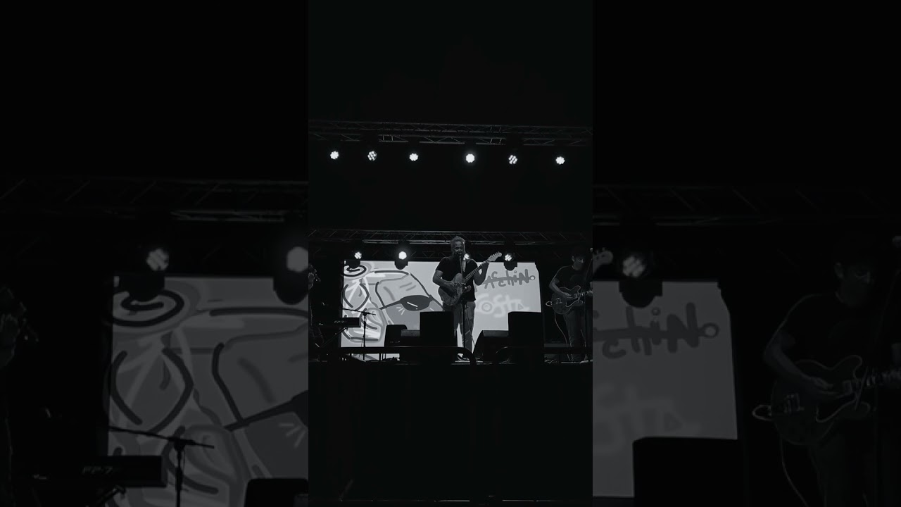 Un cane live Bologna  Targhe Officina Roversi