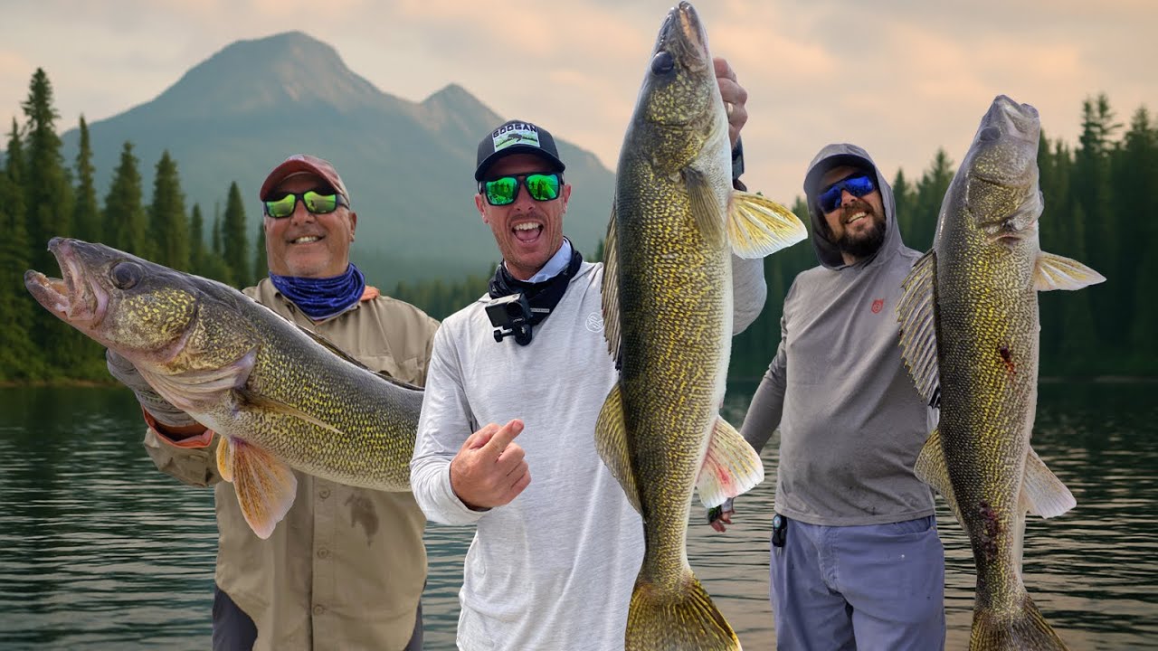 The Most INSANE Walleye Bite I've Ever Seen... It Didn't Feel Real