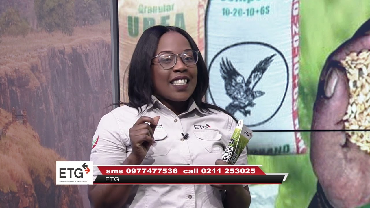 ZNBC ETG KYNOPLUS 08 11 2020