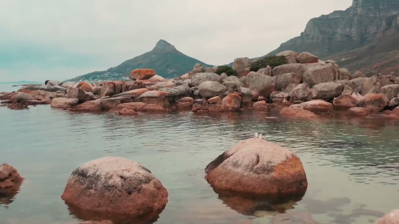 ALMAFUERTE (Pedro B. Palacios) ¿Por qué no mandas?. Por Joan Mora