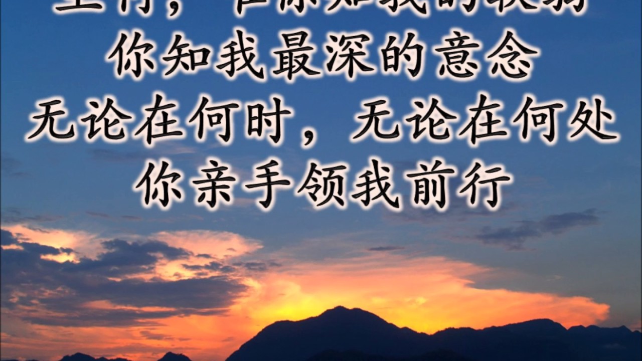 生命的执著 伴奏