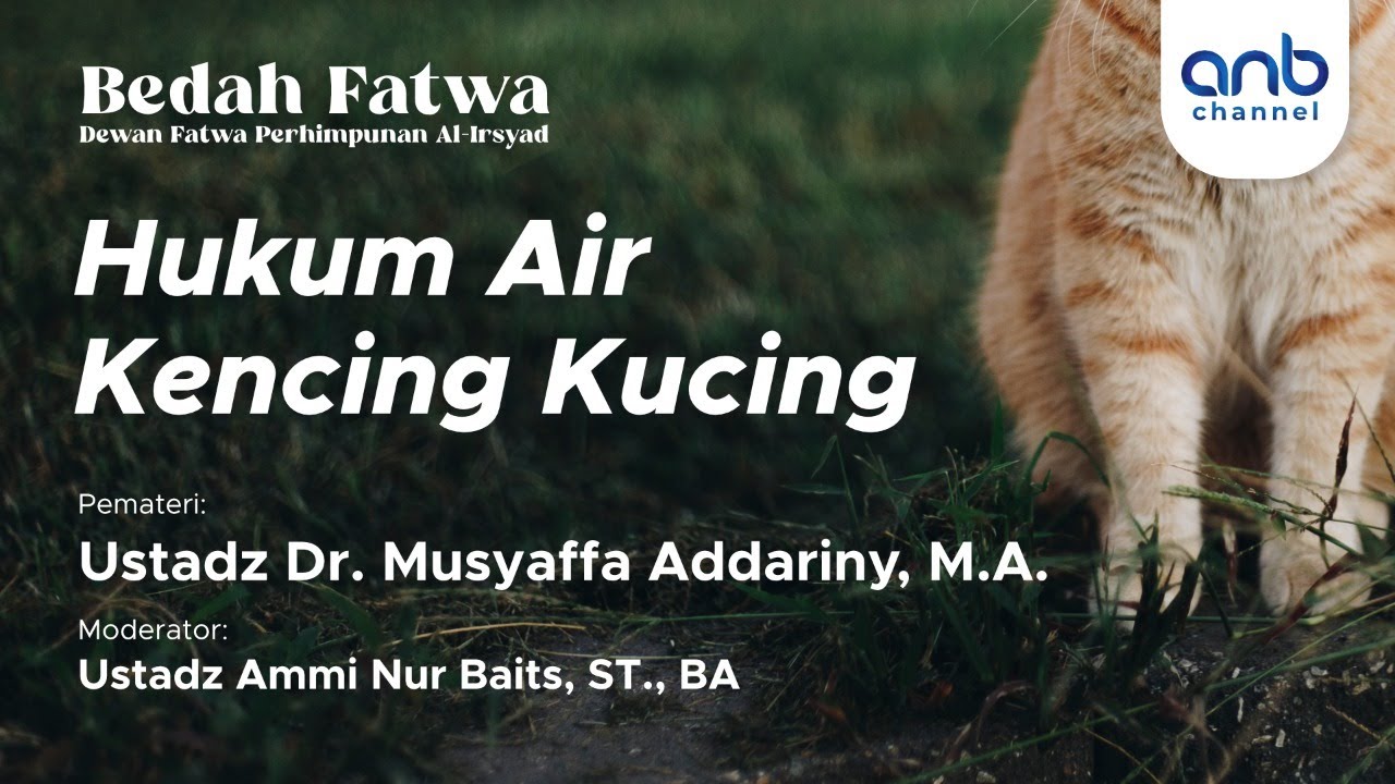 Hukum Air Kencing Kucing | Ustadz Dr. Musyaffa Addariny, M.A. & Ustadz Ammi Nur Baits, ST., BA.