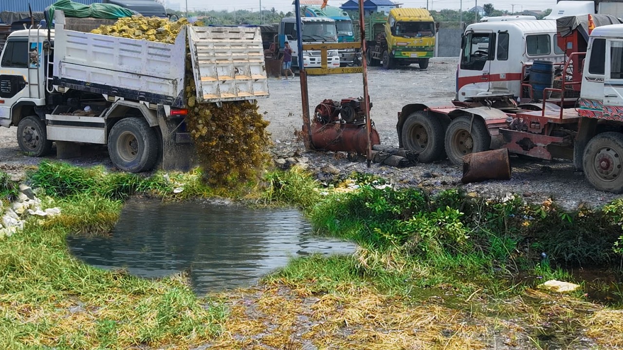Started New Project!5Ton DumpTruck Pouring Soil&rock in Delete Field,By Power Dozer D31 Pushing Soil