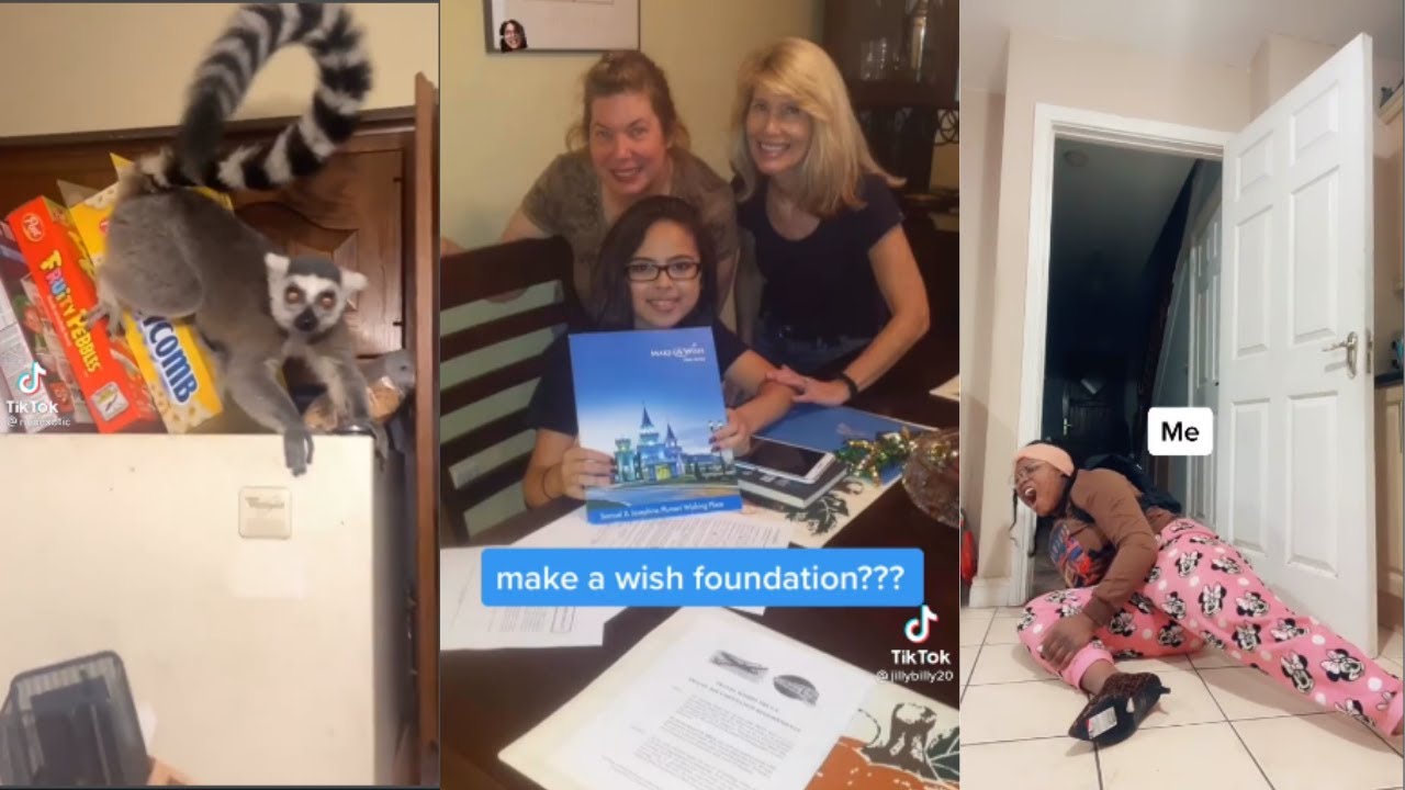 Tik Toks I Laugh At With My Imaginary Friend