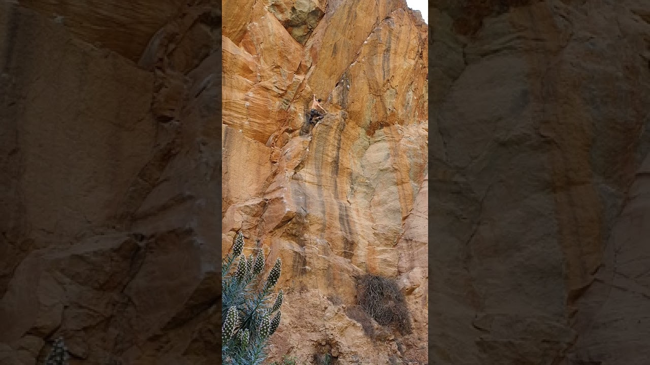 La Vira 8a, El Rio, Tenerife