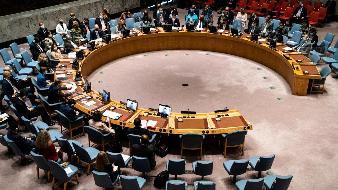 Australia should have abstained in UN vote on Palestinian membership: Labor MP