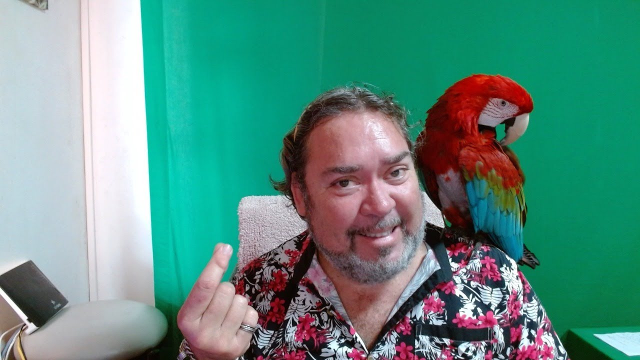 ☕🦜 Viens prendre un petit café avec moi et mon perroquet ! 🦜☕