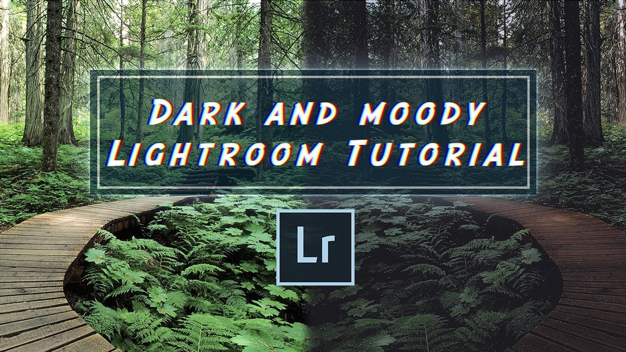 Bilder ganz einfach MOODY and DARK in LIGHTROOM bearbeiten | TaylorCutFilms | Lightroom Deutsch