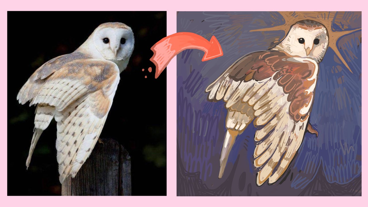 My best Digital Art Studies of 2024