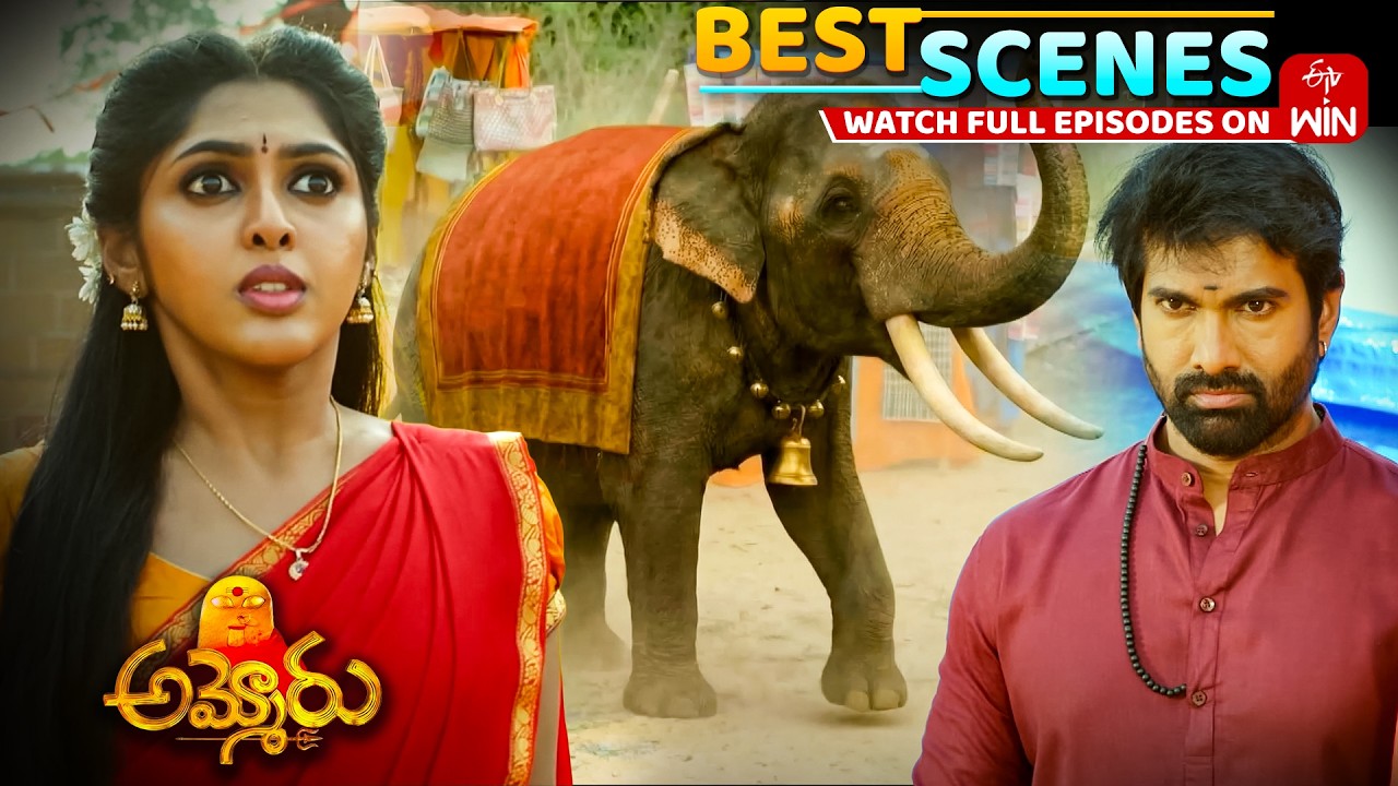 Ammoru Best Scenes : 14th March 2026 Episode Highlights | Watch Full Episode on ETV Win