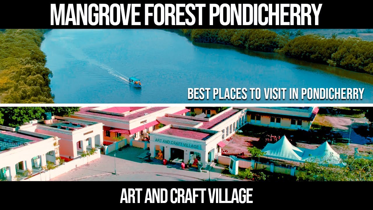 ART and CRAFT Village | Amazing Mangrove Forest | Pondicherry | Cinematic vlog |