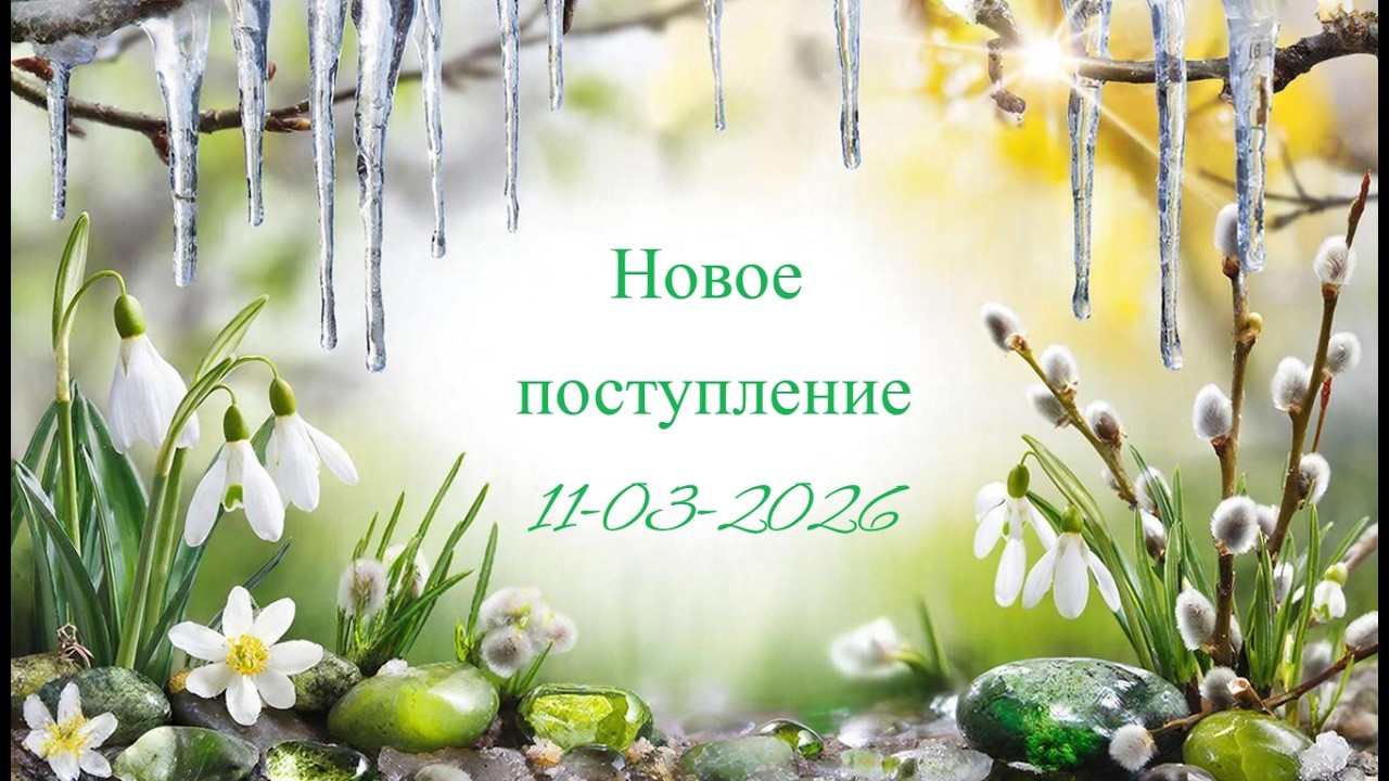 Новое поступление заставка 11-03-2026