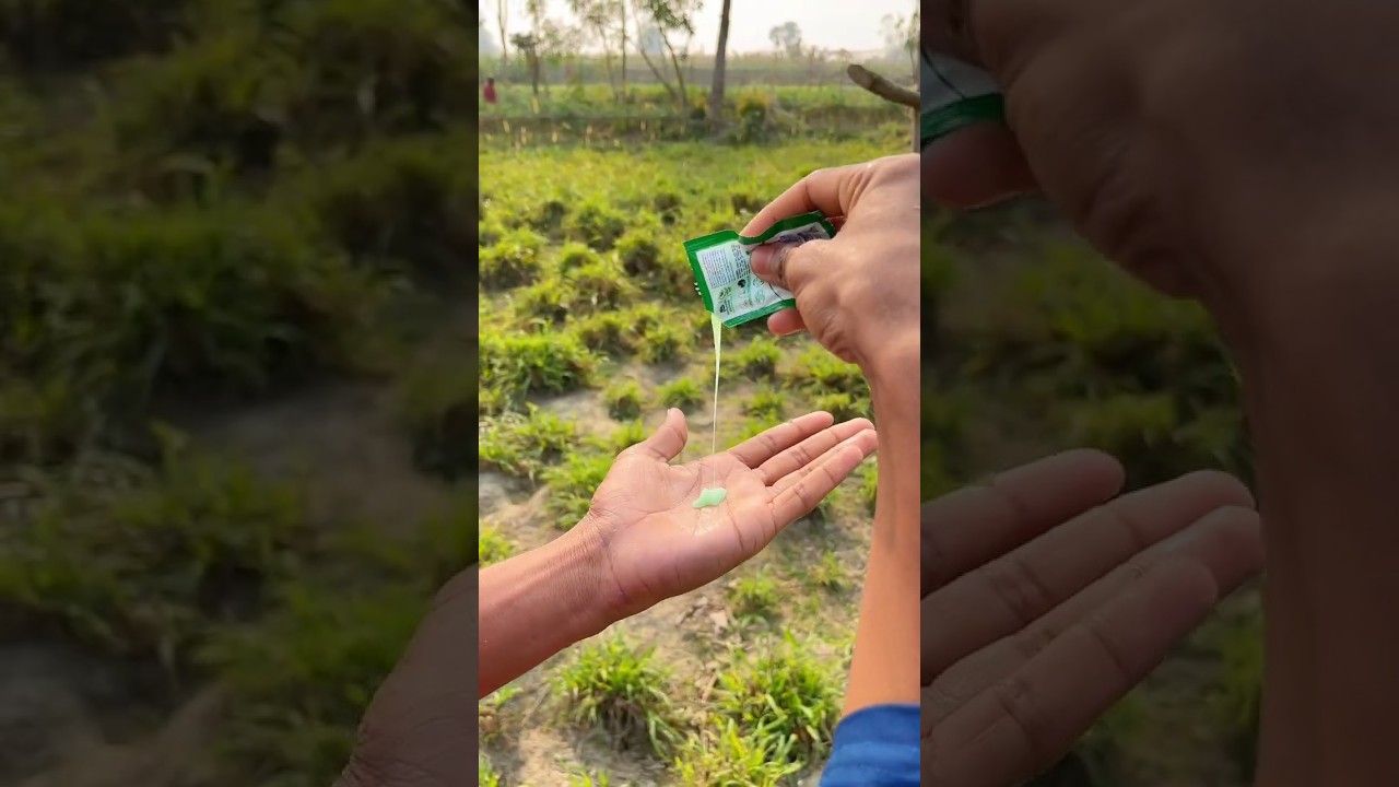 Survival skills: Great methods 