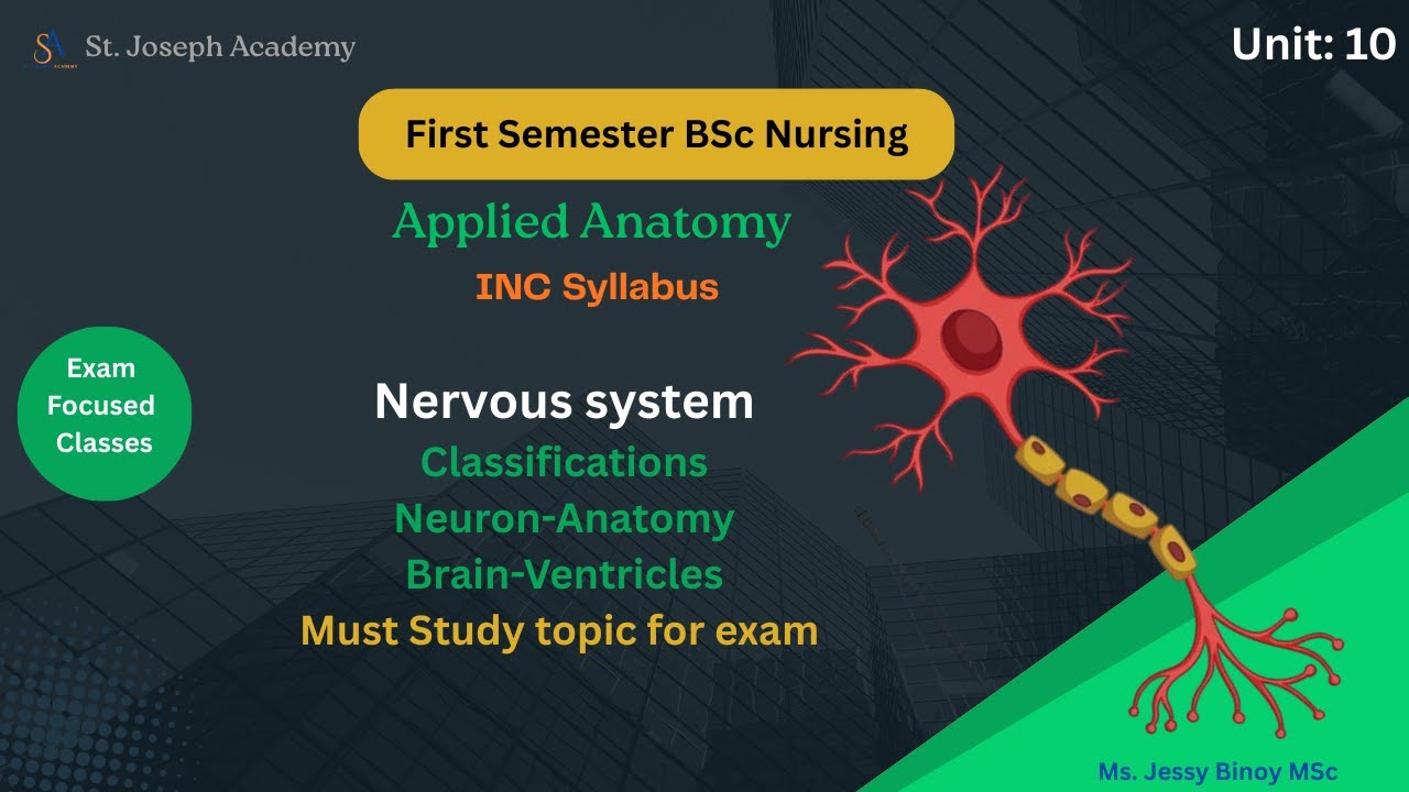 1st  Sem BSc nursing | Applied Anatomy| Unit 10 Nervous system| Exam focused classes| INC syllabus