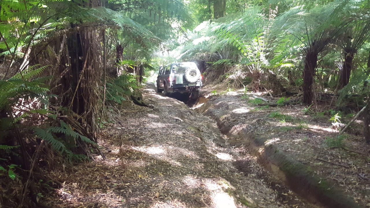 Mazda Proceed In Action