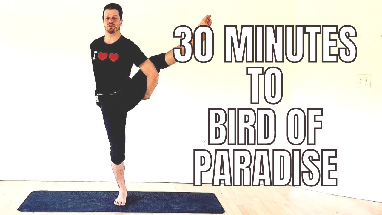 30 minutes to Bird of Paradise Pose