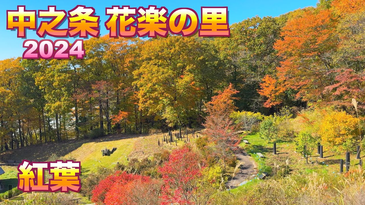 【晩秋の紅葉】【中之条 花楽の里2024】【群馬県　中之条町】／4K／NAKANOJO HILL-TOP GARDEN／Autumn leaves