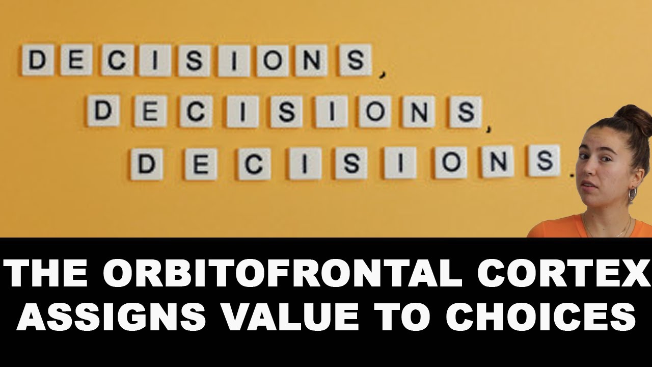 Decisions and the Orbitofrontal Cortex