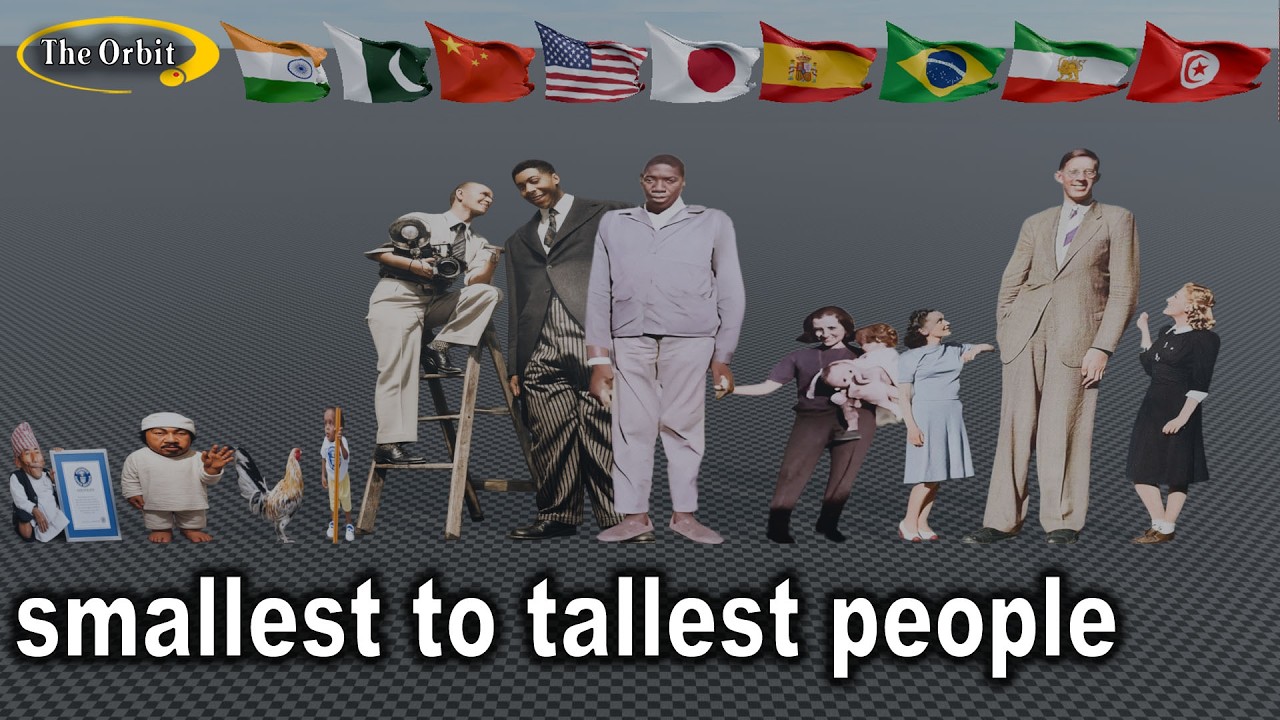 Shortest to Tallest People Ever Recorded - 3D Comparison