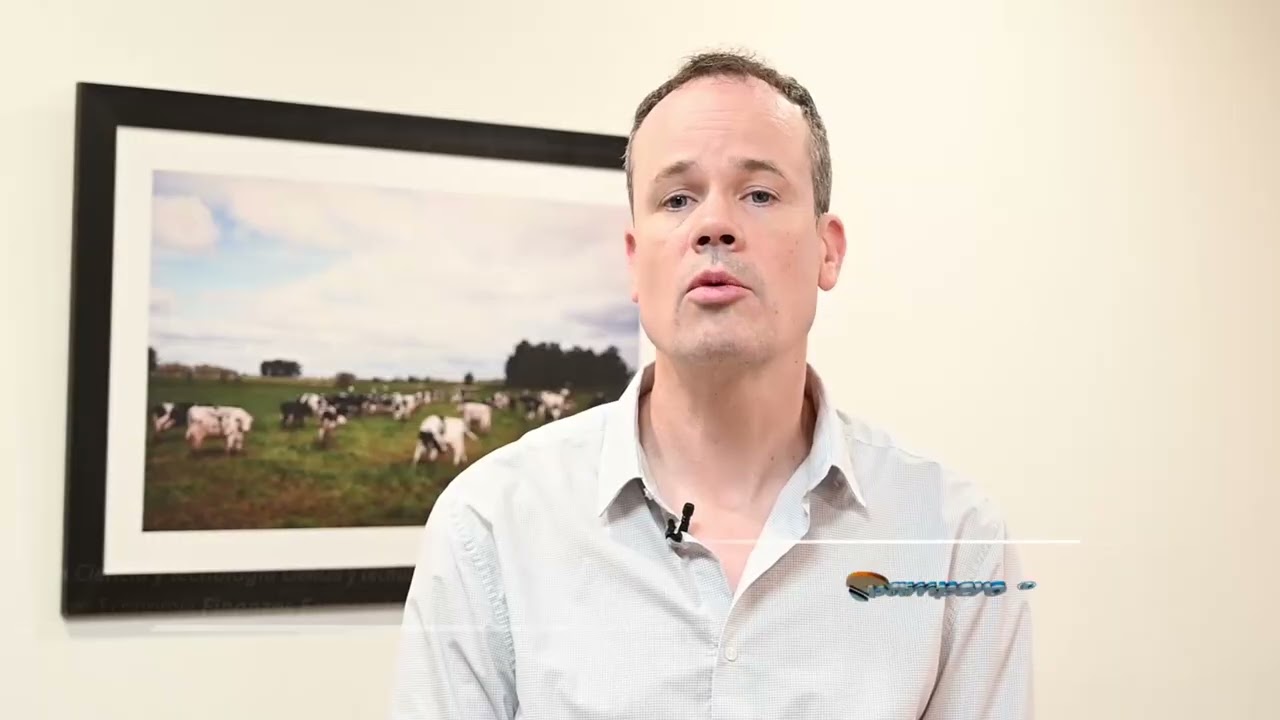 Prevención de la bruselosis bovina