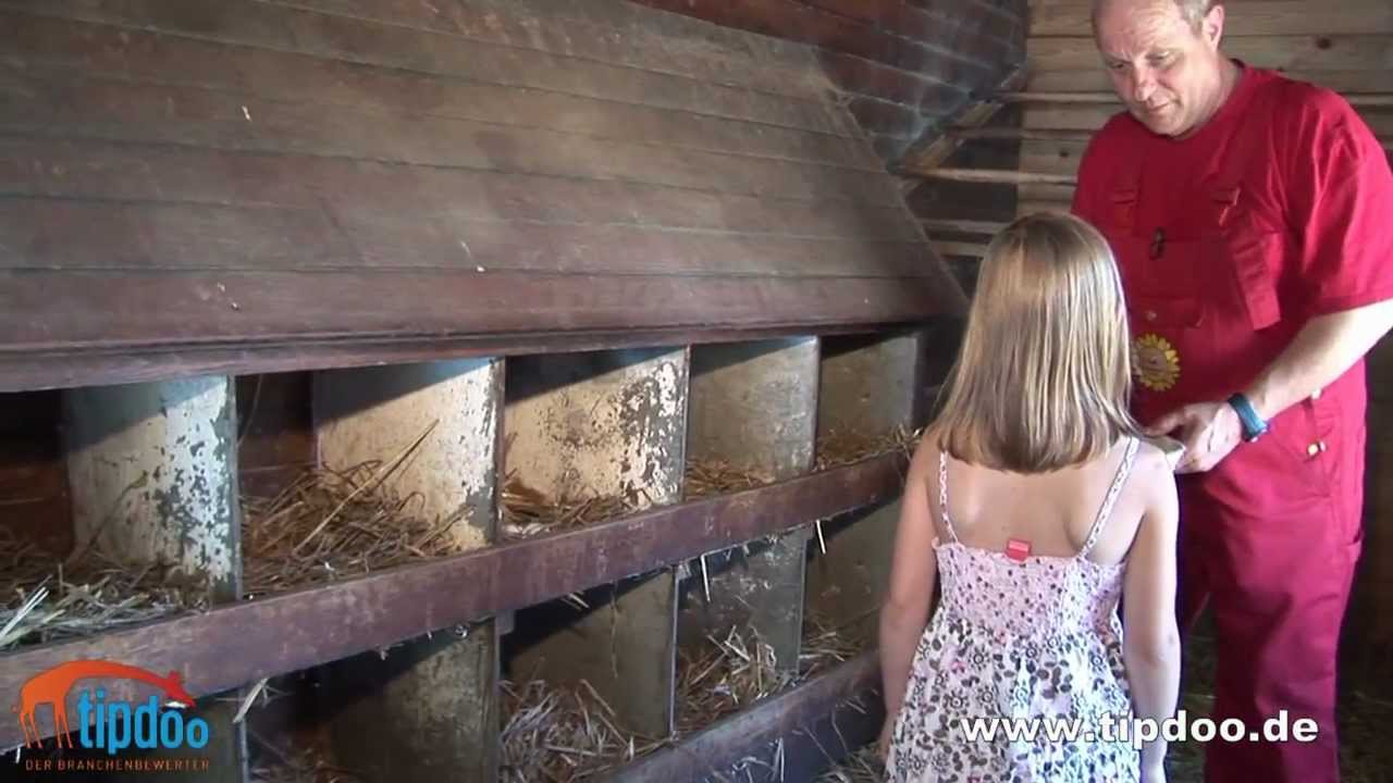 Kinderbauernhof Kirchdorf e.V. - tipdoo