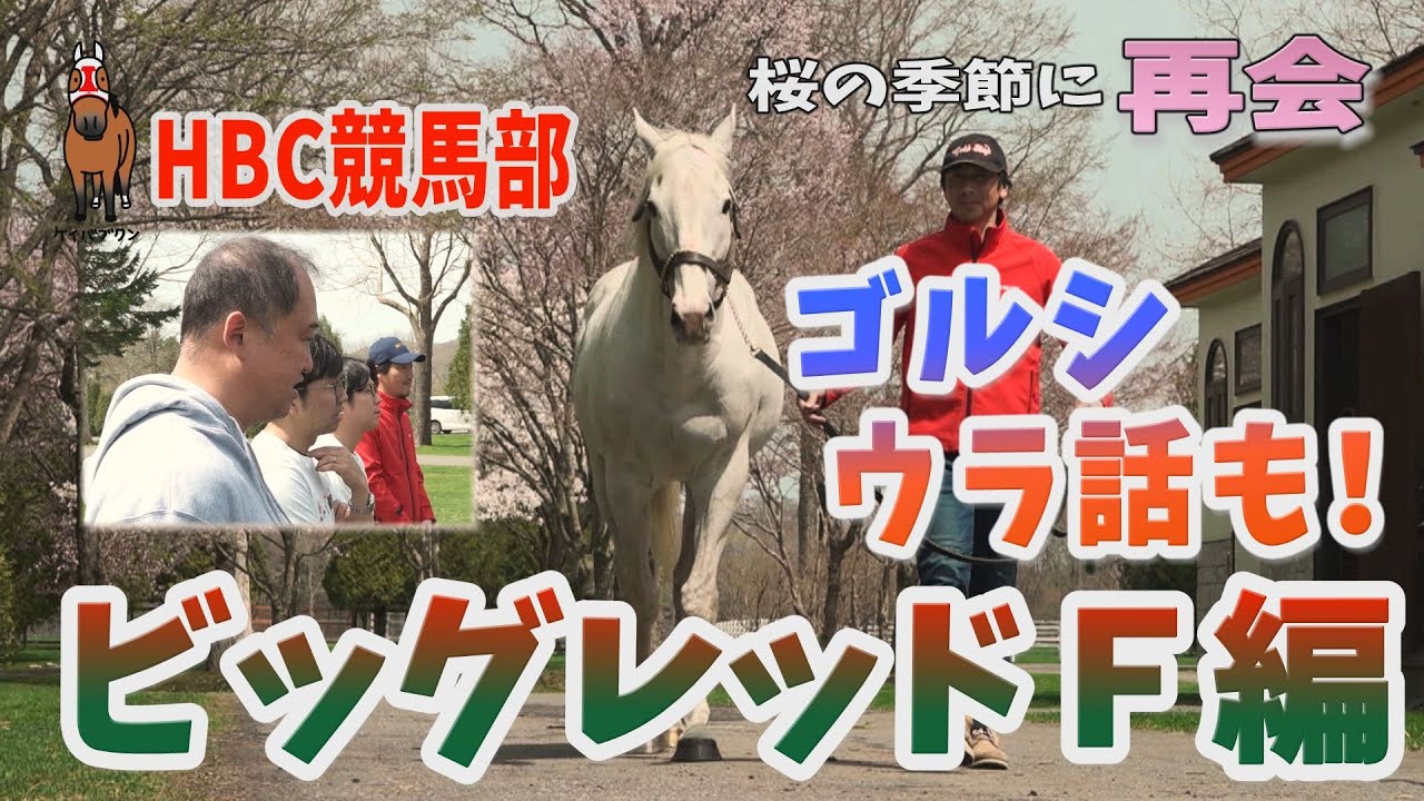 【ゴールドシップ最新映像】ビッグレッドF‘24春②話題のベンバトル産駒の１歳馬も登場！
