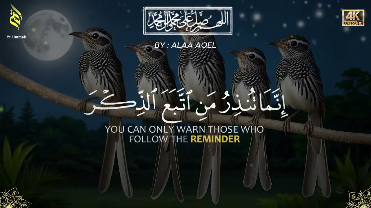 Quran recitation in a peaceful voice I ayat al kursi, yasin, alkahfi, alwaqiah, arrahman, Alaa Aqel
