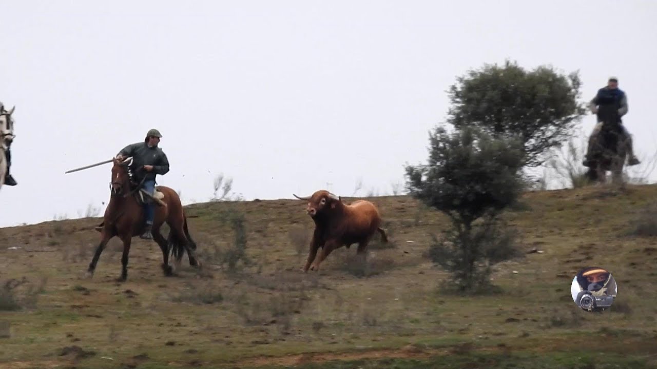 Encierro a caballo, Carnaval Ciudad Rodrigo 2018
