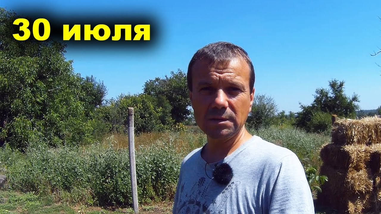 30 июля. Обо всем