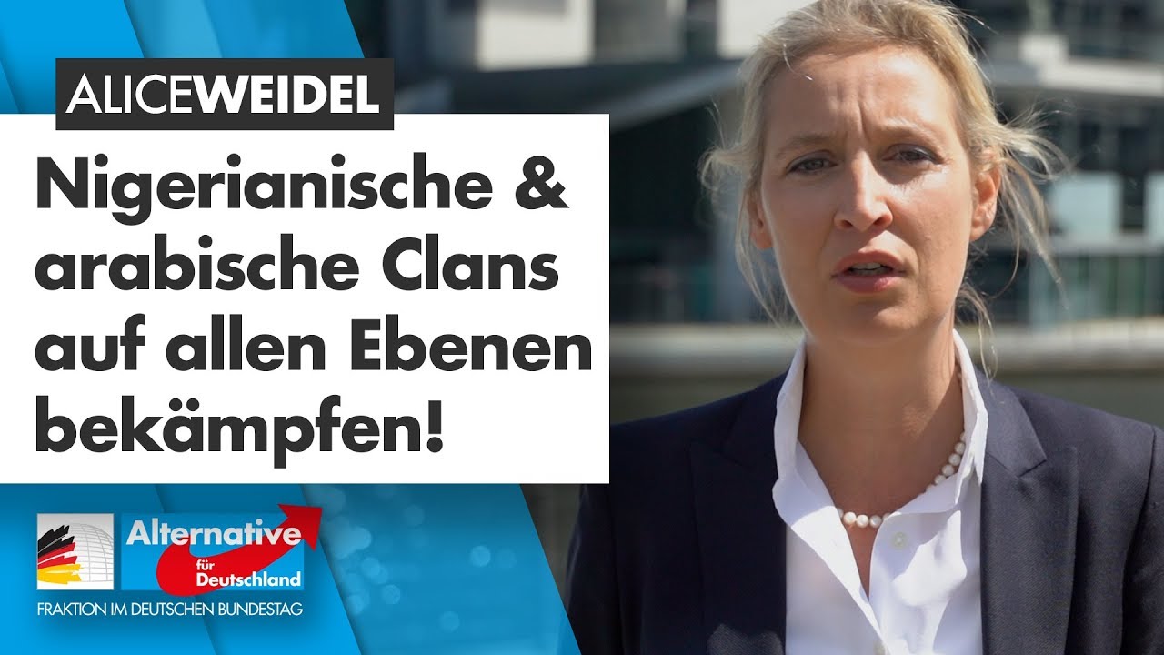 AfD-Antrag: Kriminelle Clans auf allen Ebenen bek&auml;mpfen! - Alice Weidel