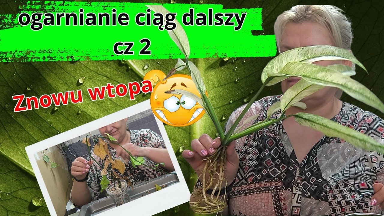 Ogarniam cz 2. Dzień bez wtopy to film stracony