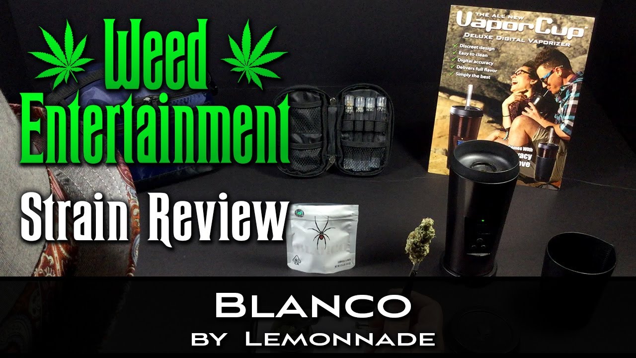 Blanco - 42% - Sativa - by Lemonnade - Strain Review - Lemonnade, Arleta Ca