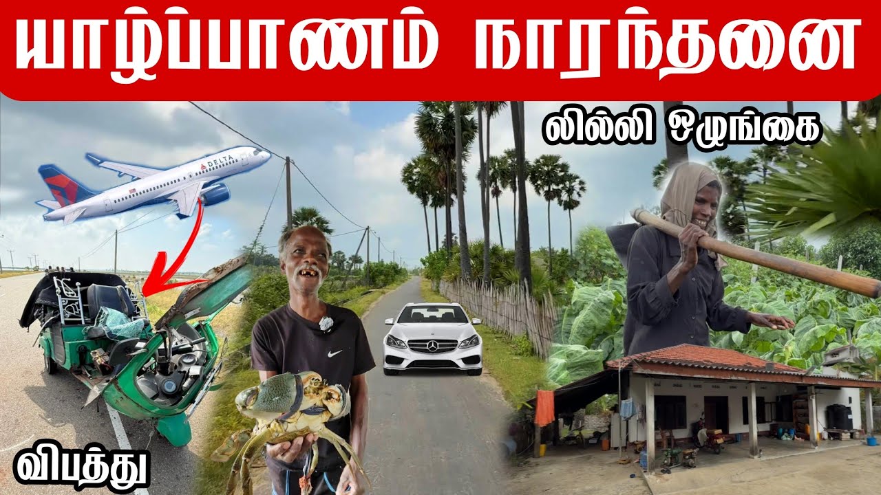யாழ்பாணம் நாரந்தனை தீவு கிராமம் லில்லி ஓழுங்கை Jaffna, Naranthanai Island Village, Lily Lane 