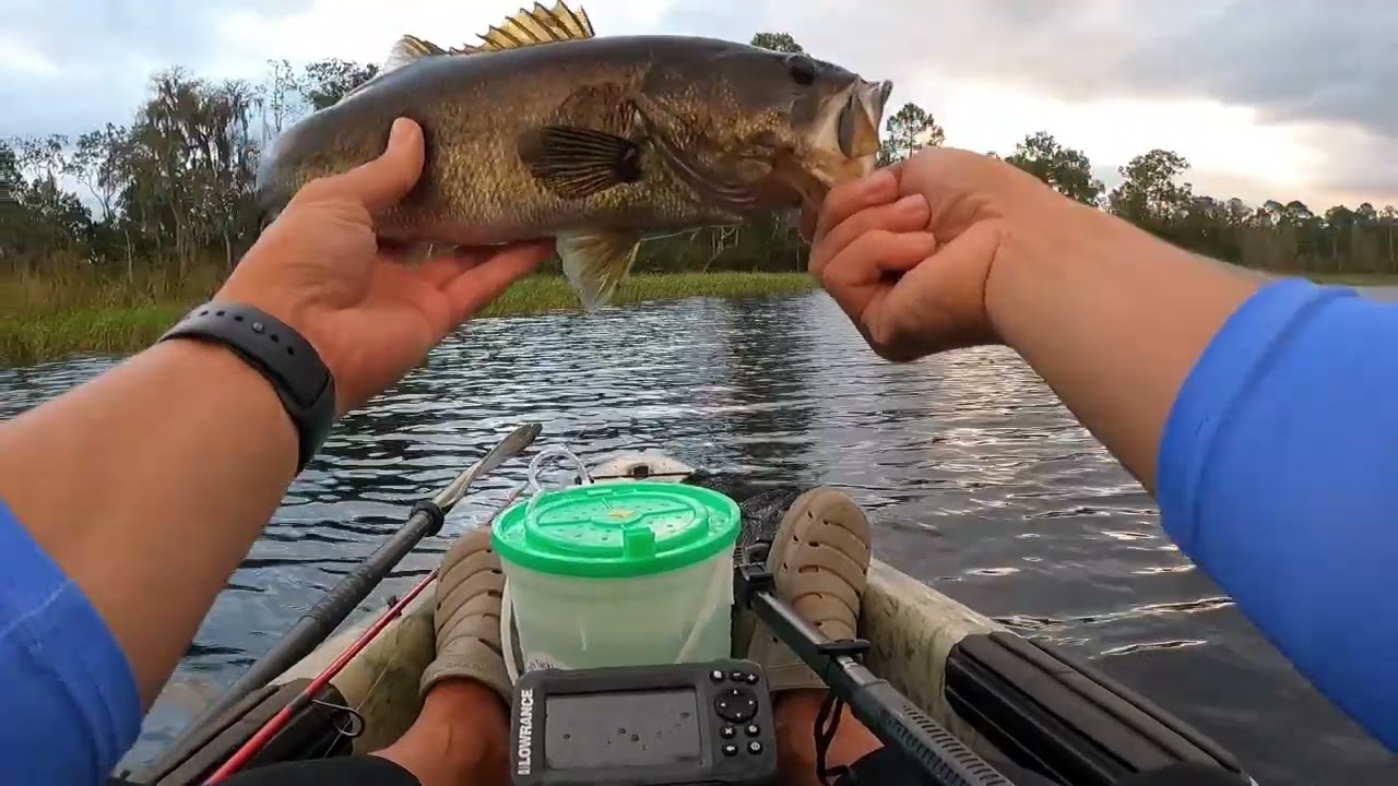 BassTastic