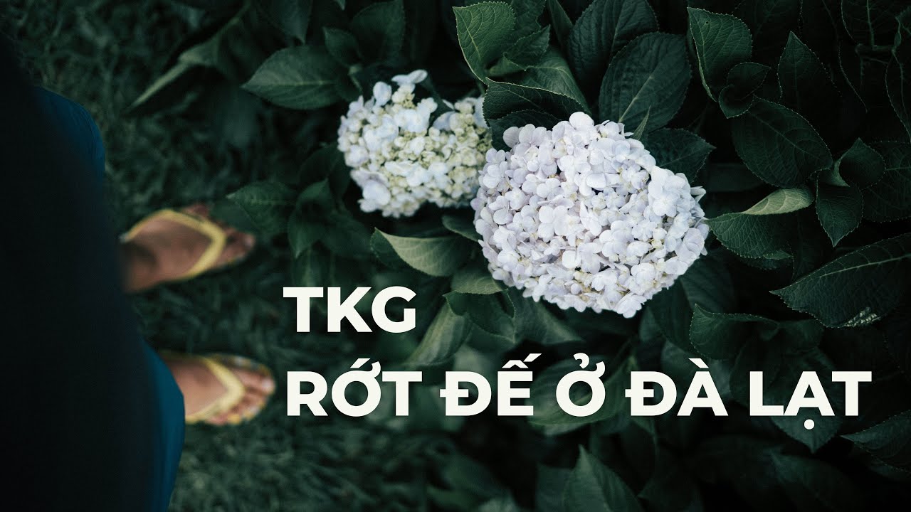 TKG Rớt Đế ở Đ&agrave; Lạt #TKGLife