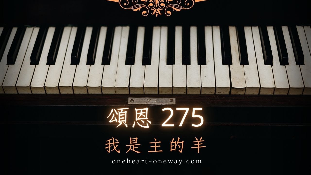 頌恩 275 我是主的羊